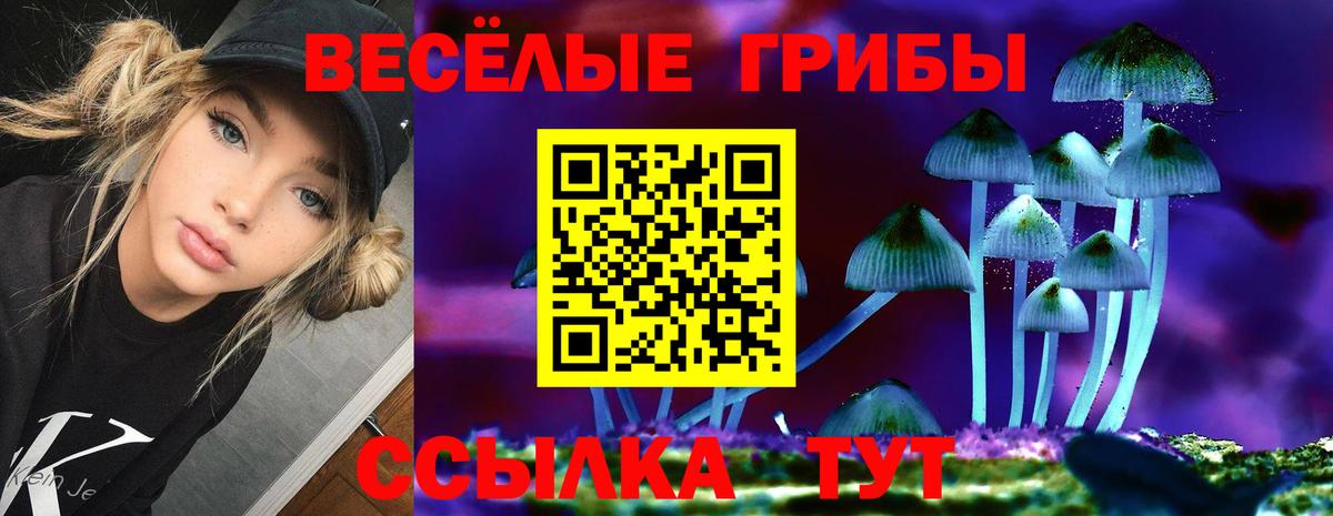 Псилоцибиновые грибы мухоморы Сергиев Посад